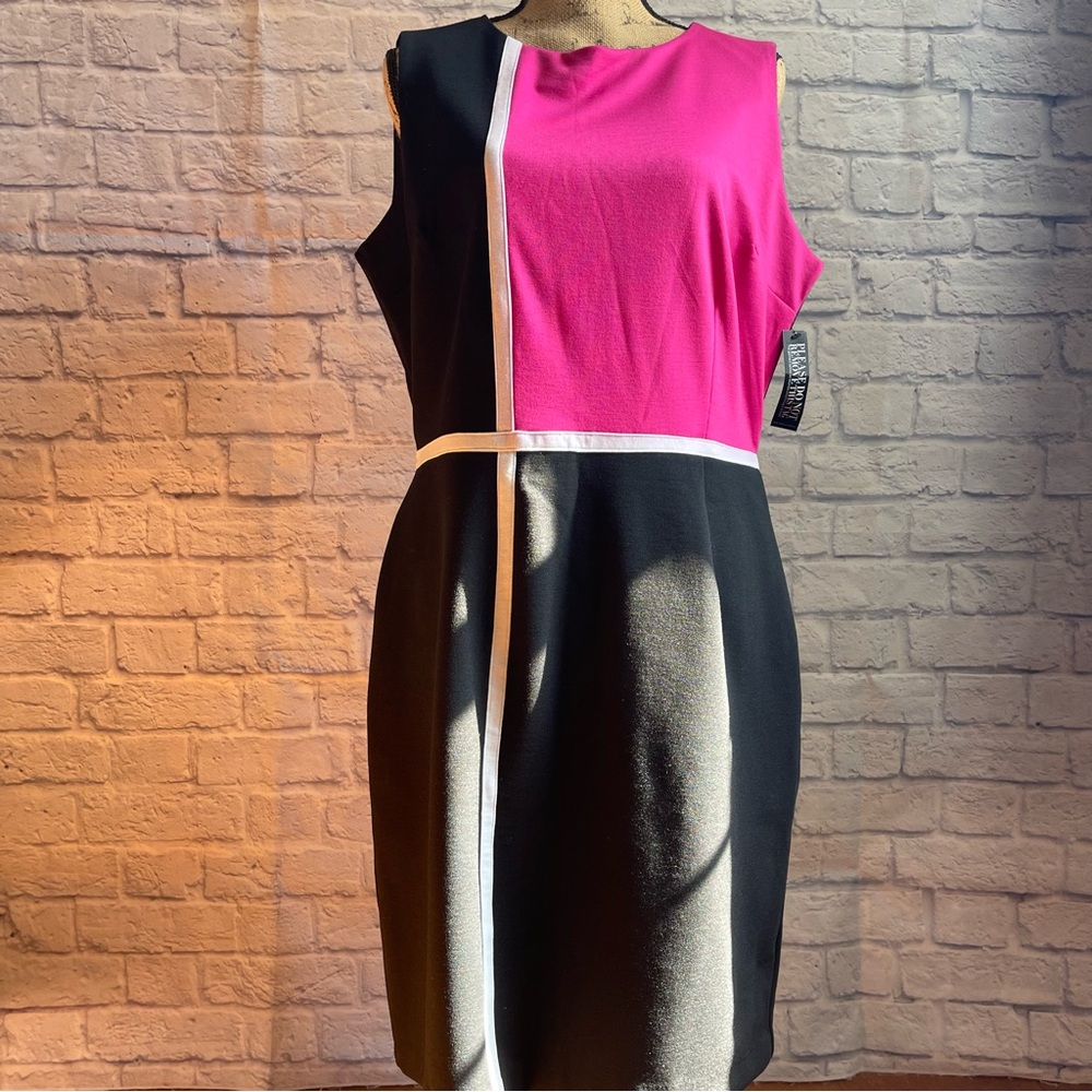 NWT New York & Company Colorblock Sleeveless Dress